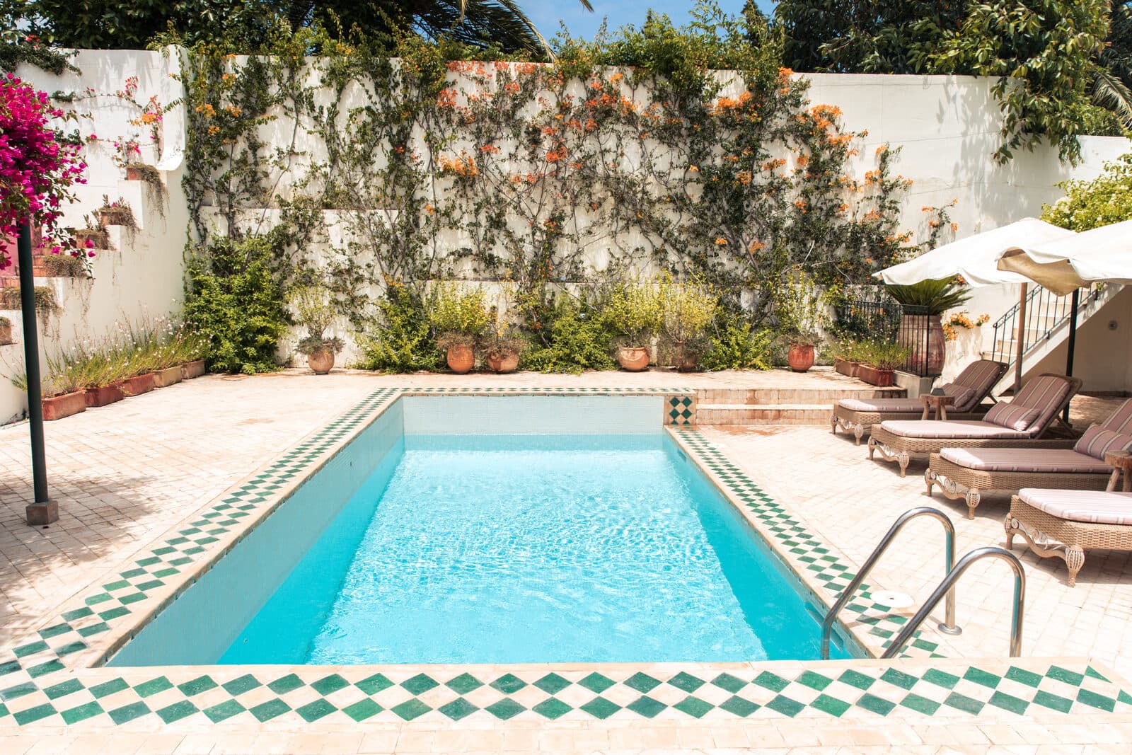 Dar Chal — Tánger, Marruecos Piscina con borde de zellige verde y tumbonas junto a un muro cubierto de jazmín — Dar Chal, villa en venta en Tánger (Coco House)